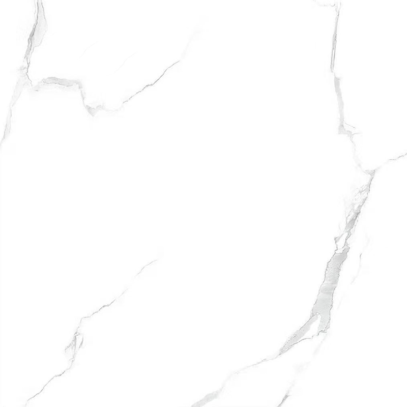 BP8081