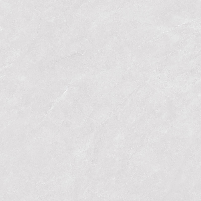 MLT83036